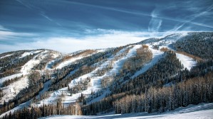 Mid Mountain